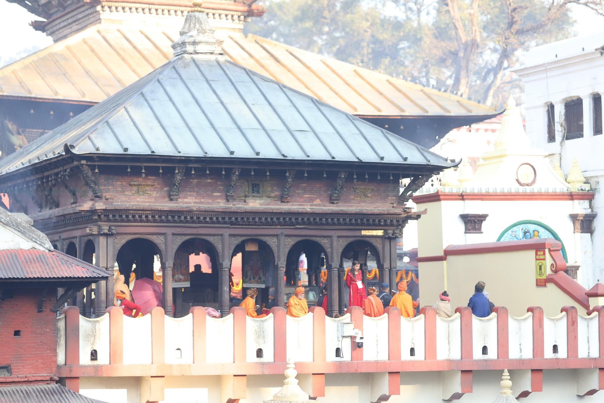 pashupati (19)-min.jpeg